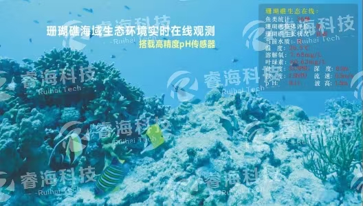 微信图片_20250225165056