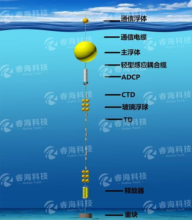 微信图片_20250225170735 微信图片_20250225170735