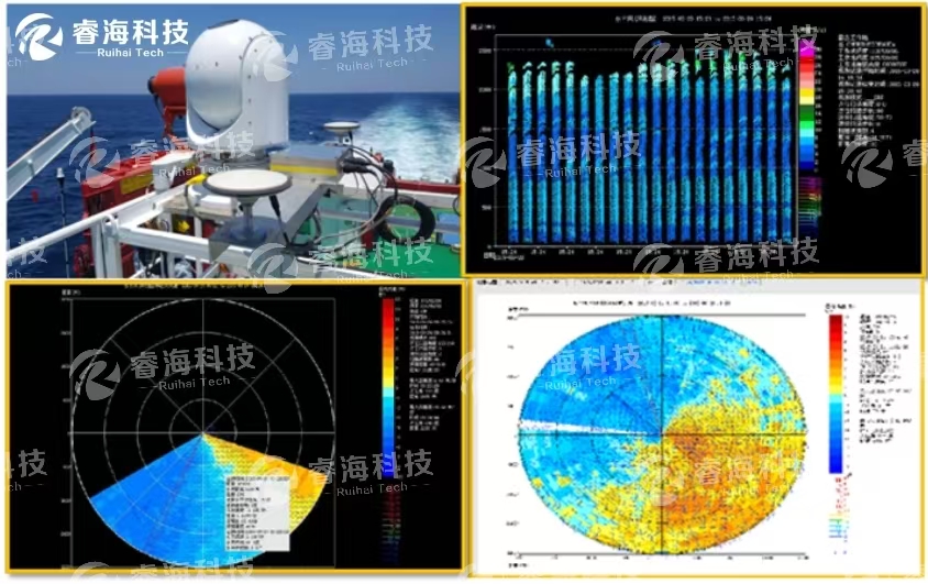 微信图片_20250226090335